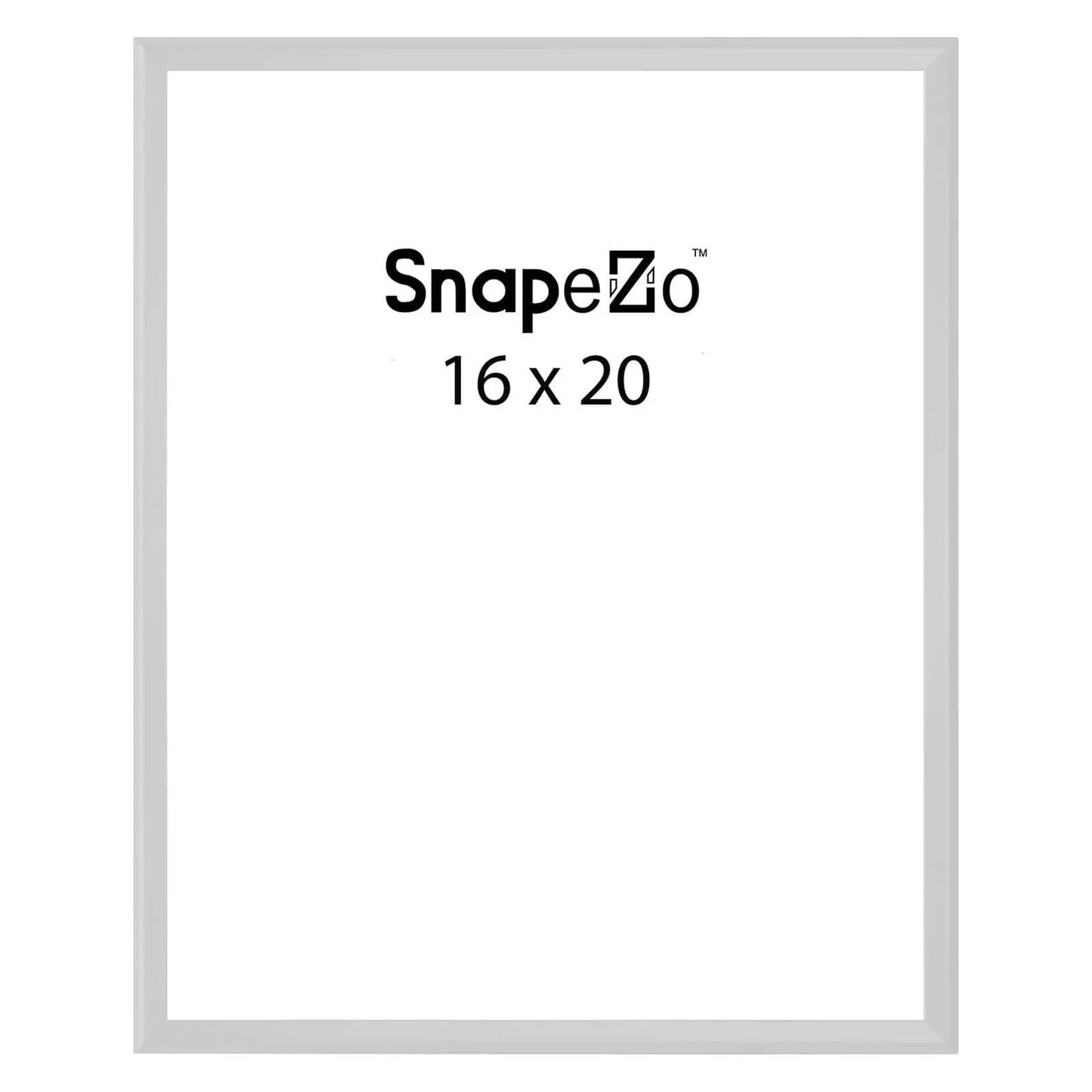 Silver locking snap frame poster size 16X20 - 1.25 inch profile - Snap Frames Direct
