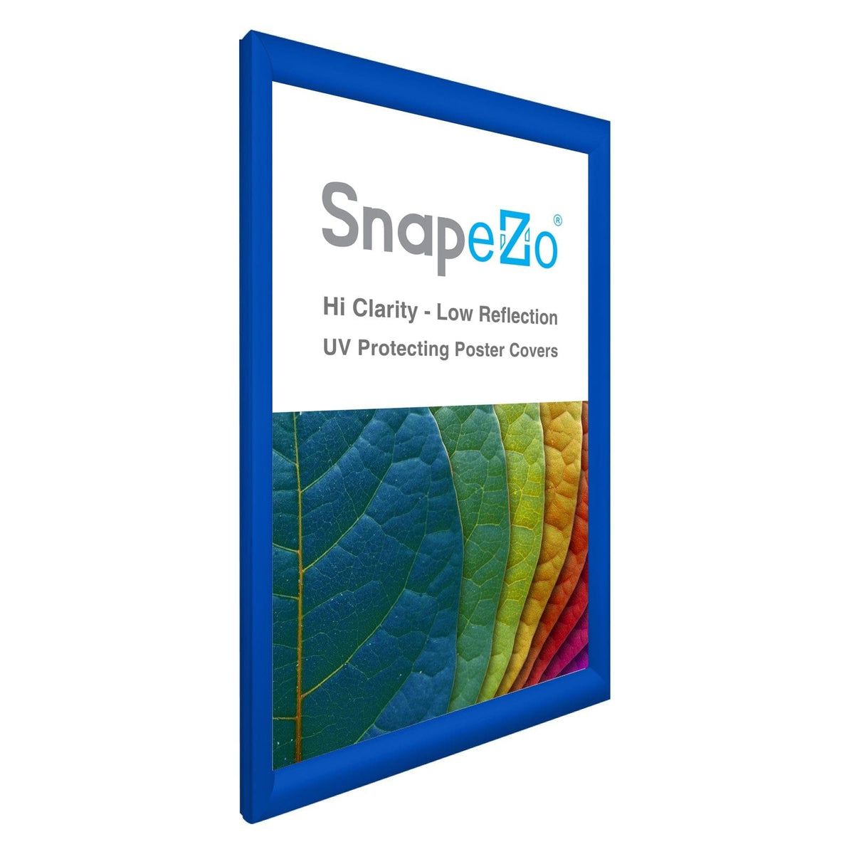 15x24 Blue Snapezo® Snap Frame 1.2" Profile Snap Frames Direct