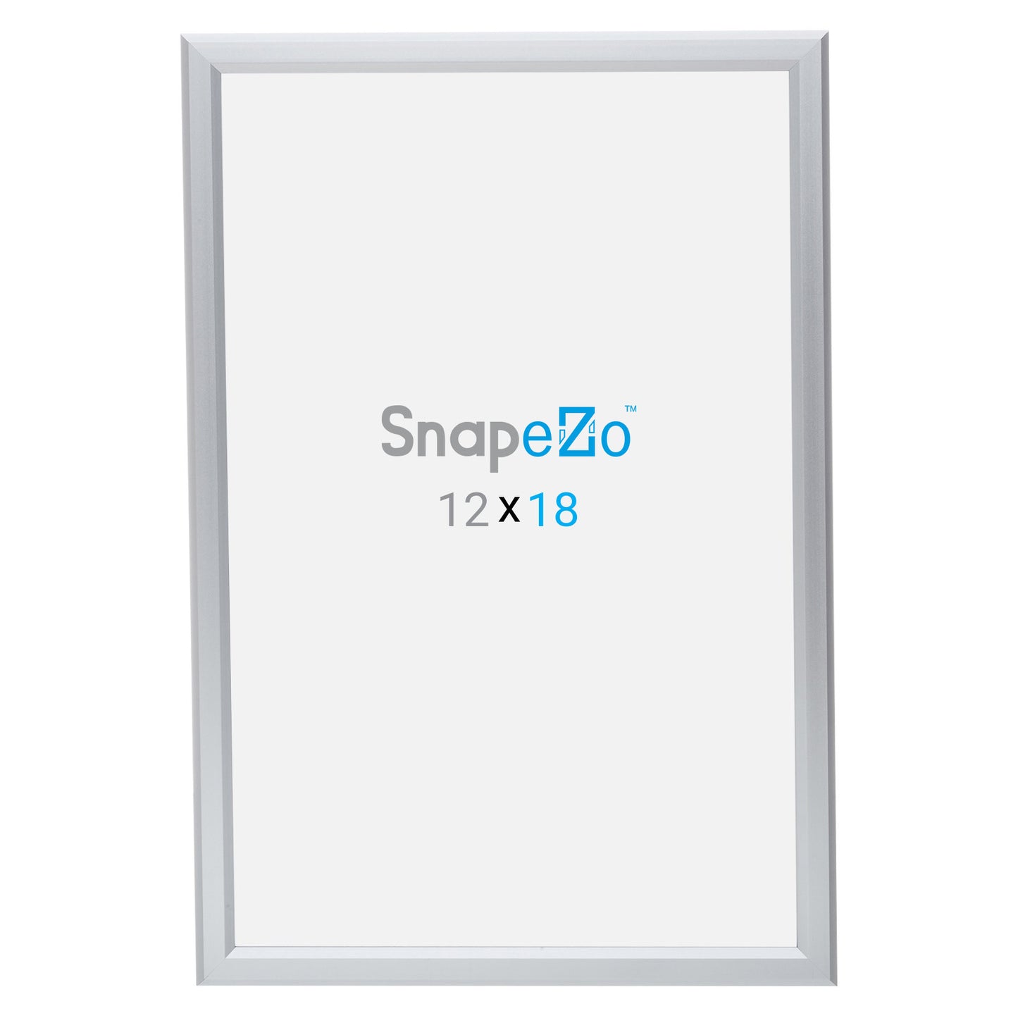 12x18 Silver Snap Frame 0.8 Inch Profile