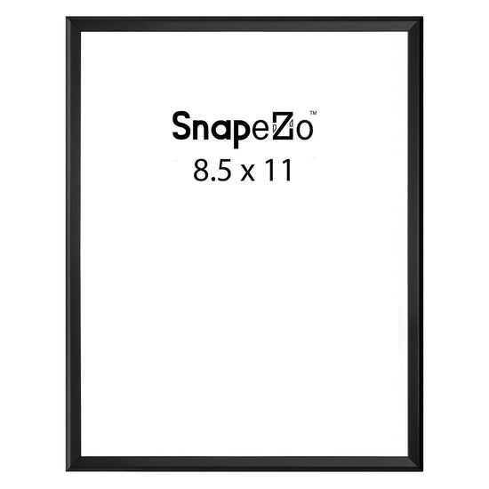 Black poster case  poster size 8.5x11 - 1.77 inch profile - Snap Frames Direct