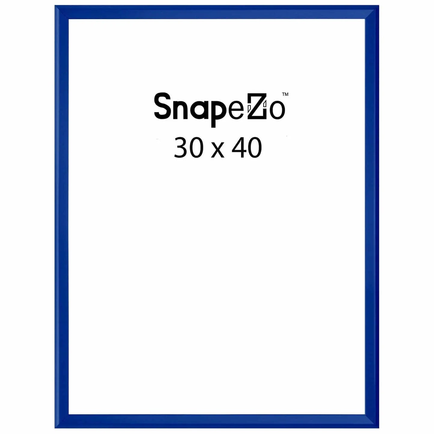 Blue locking snap frame poster size 30x40 - 1.25 inch profile - Snap Frames Direct