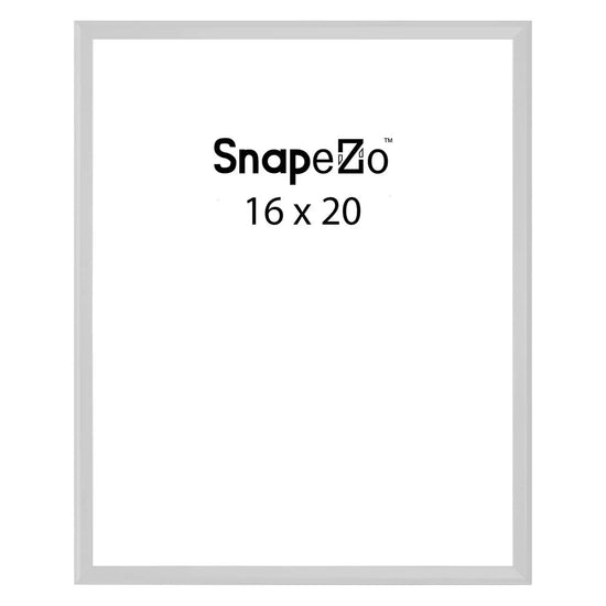 Silver locking snap frame poster size 16X20 - 1.25 inch profile - Snap Frames Direct