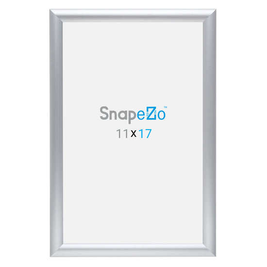 10 Case Pack of Silver 11x17 Diploma Frame - 1" Profile