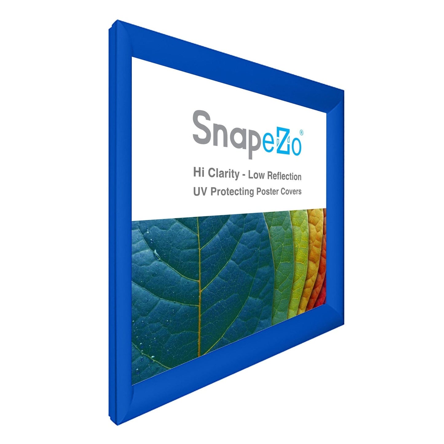 29x30 Blue SnapeZo® Snap Frame - 1.2" Profile - Snap Frames Direct