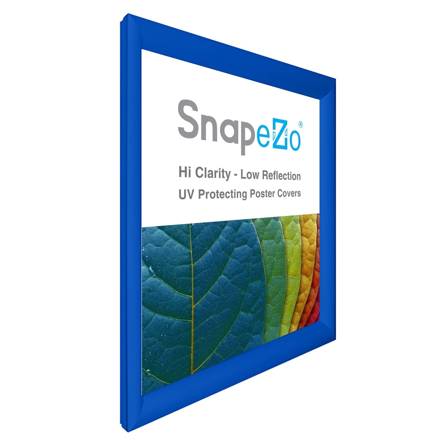 29x36 Blue SnapeZo® Snap Frame - 1.2" Profile - Snap Frames Direct