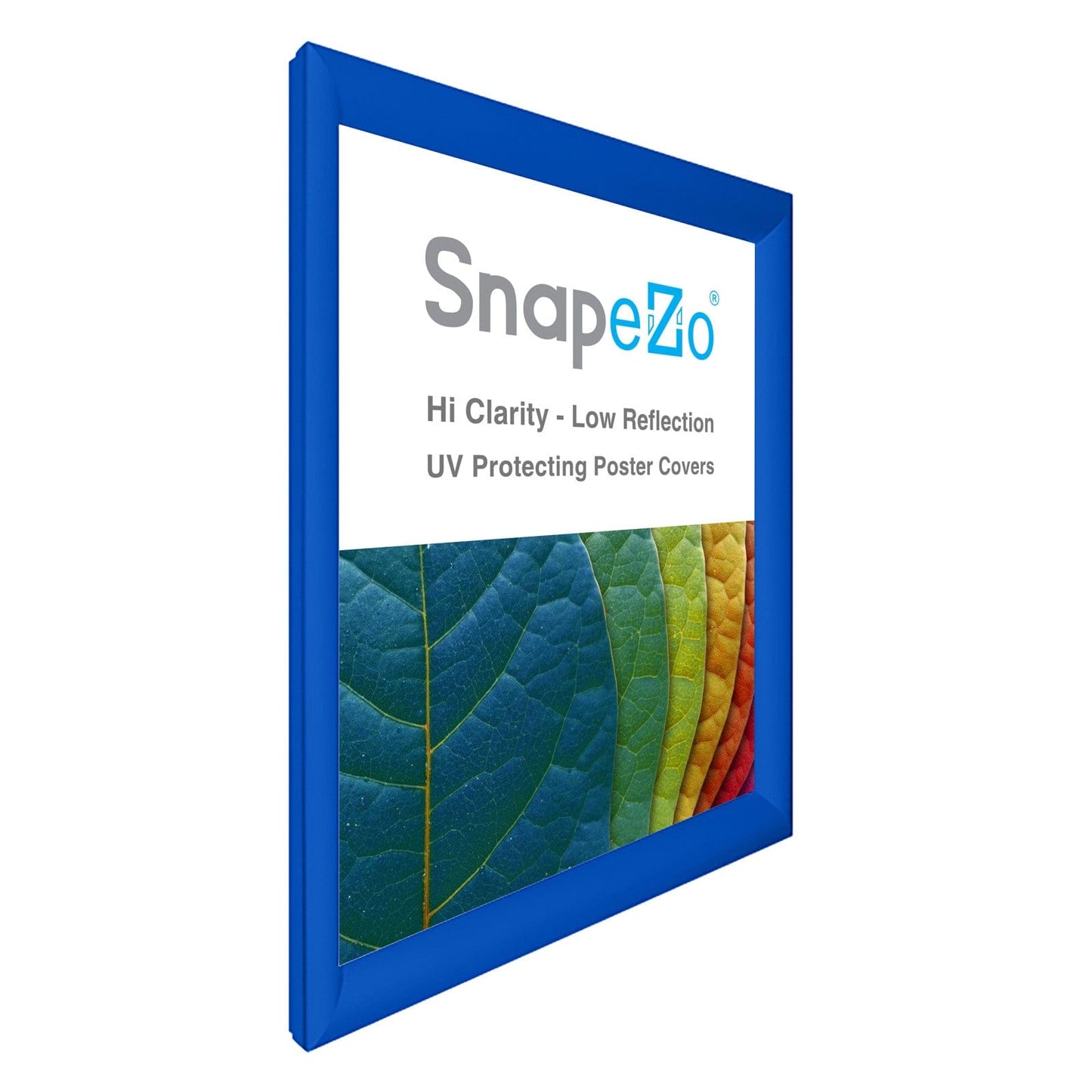29x39 Blue SnapeZo® Snap Frame - 1.2" Profile - Snap Frames Direct
