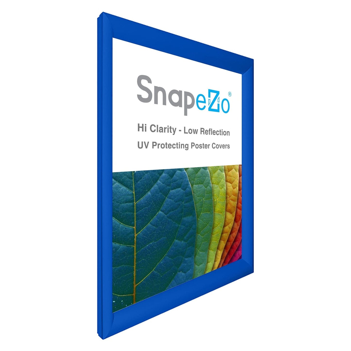 28x38 Blue SnapeZo® Snap Frame - 1.2" Profile - Snap Frames Direct