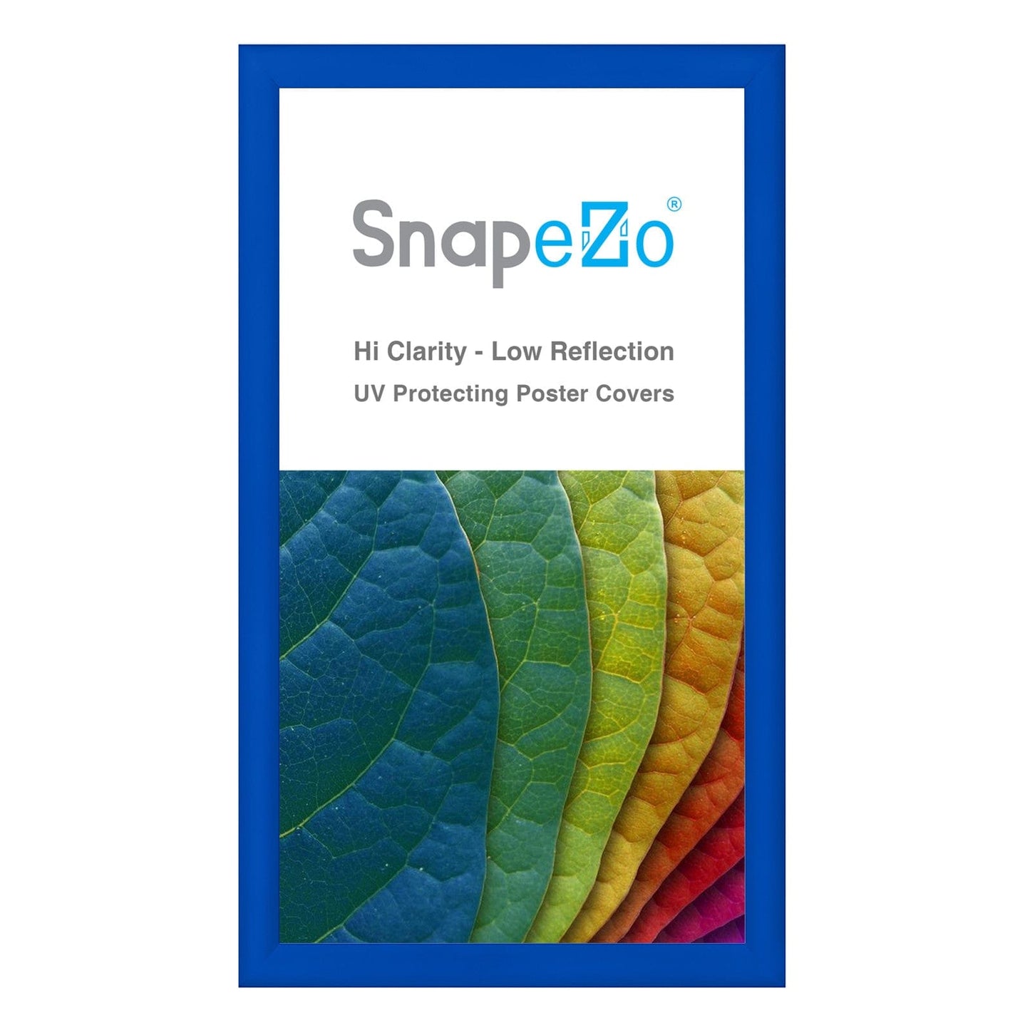 20x35 Blue SnapeZo® Snap Frame - 1.2" Profile - Snap Frames Direct