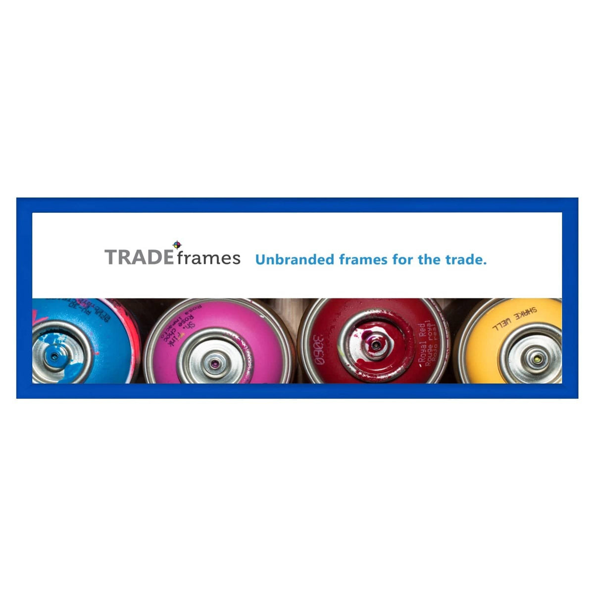 12x36 Blue Snap Frame 12x36 - 1.2 inch profile – Snap Frames Direct