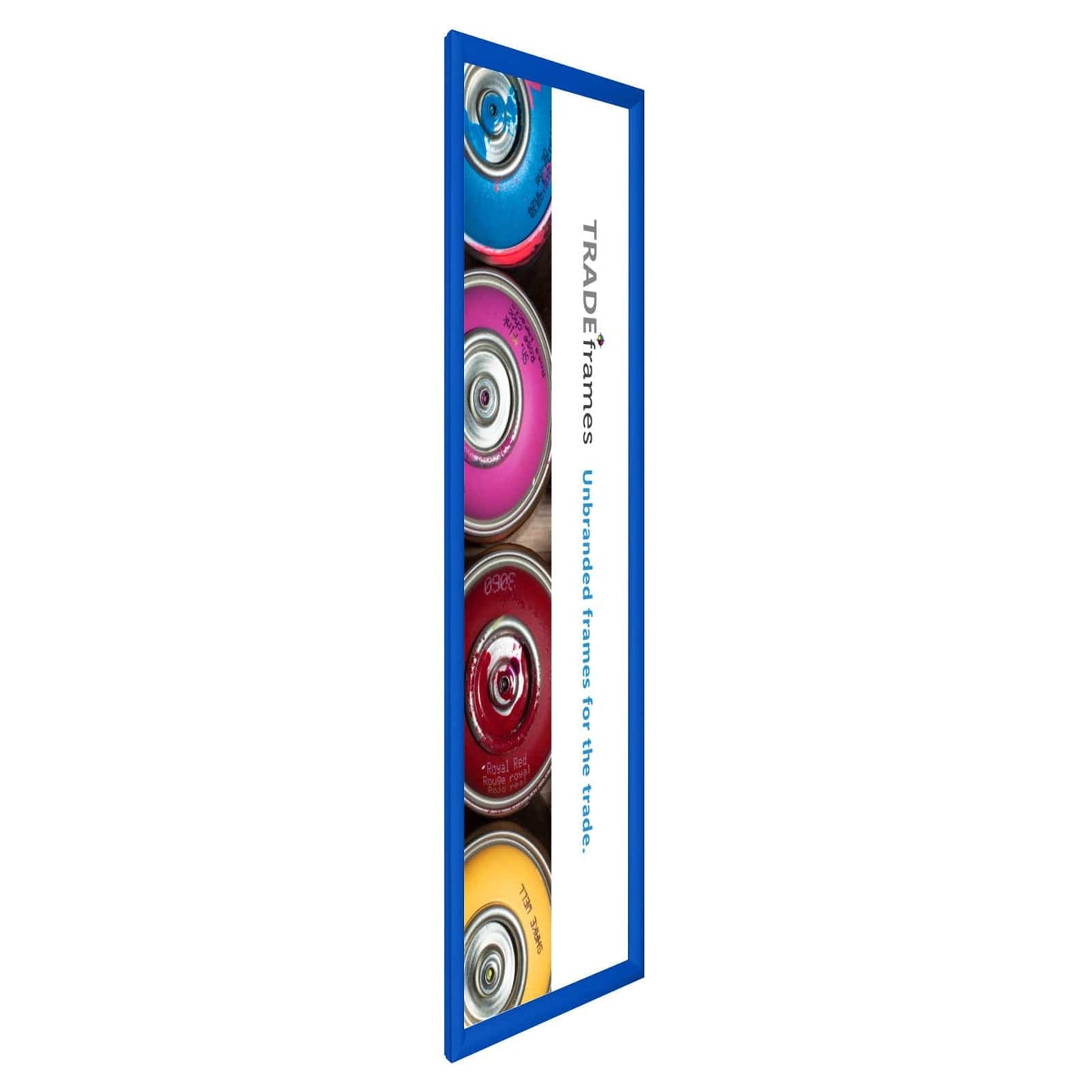 12x36 Blue Snap Frame 12x36 - 1.2 inch profile – Snap Frames Direct