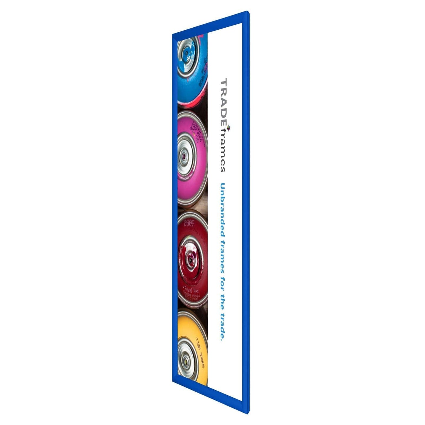 12x36  TRADEframe Blue Snap Frame 12x36 - 1.2 inch profile - Snap Frames Direct