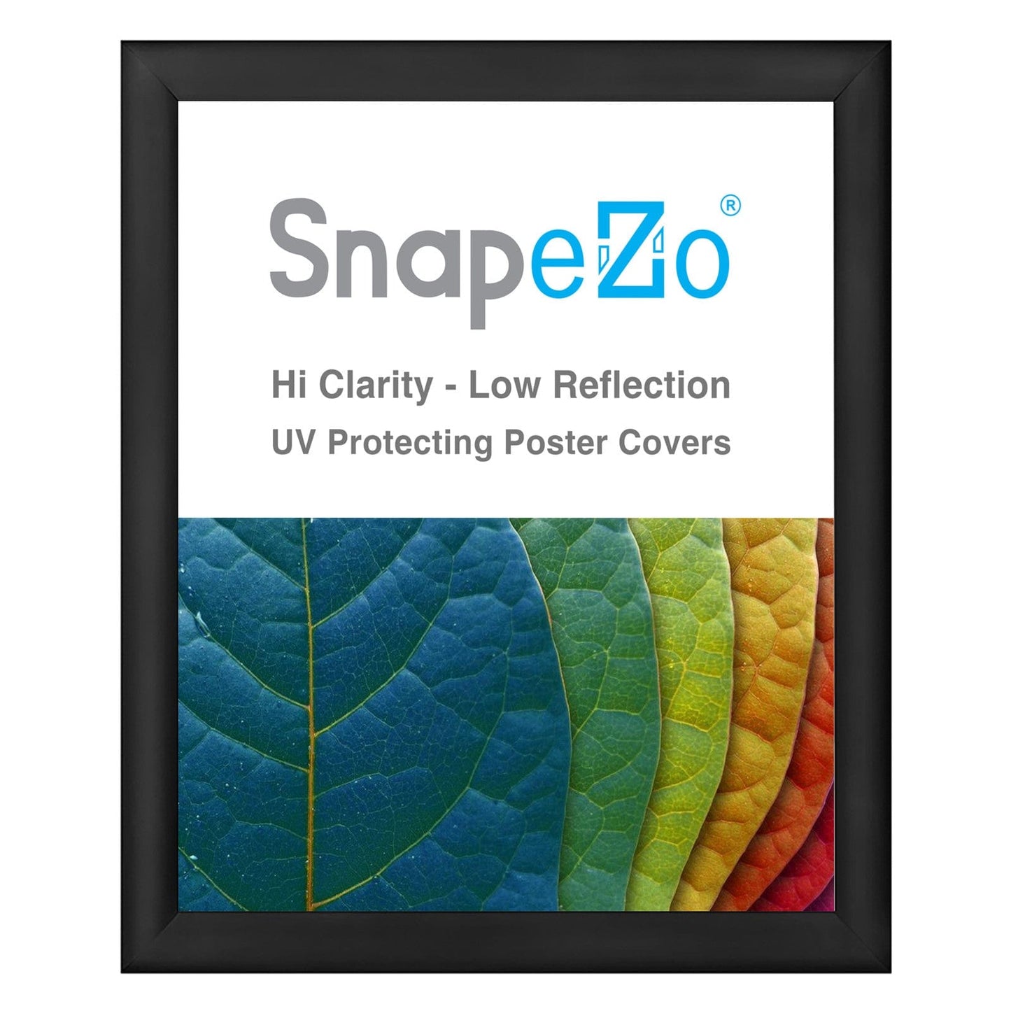 25x31 Black SnapeZo® Snap Frame - 1.2" Profile - Snap Frames Direct