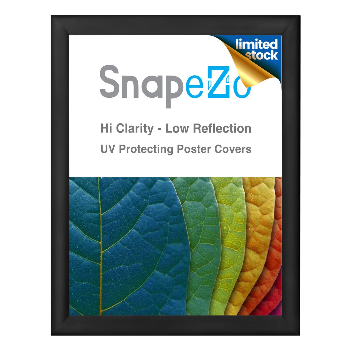 Twin-Pack of 32x42 Black Snap Frame
