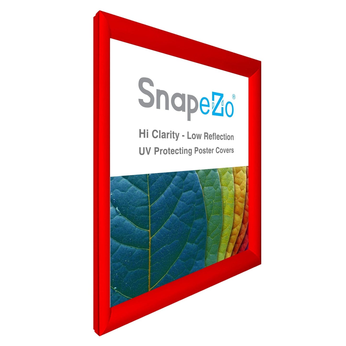 31x36 Red SnapeZo® Snap Frame - 1.2" Profile - Snap Frames Direct