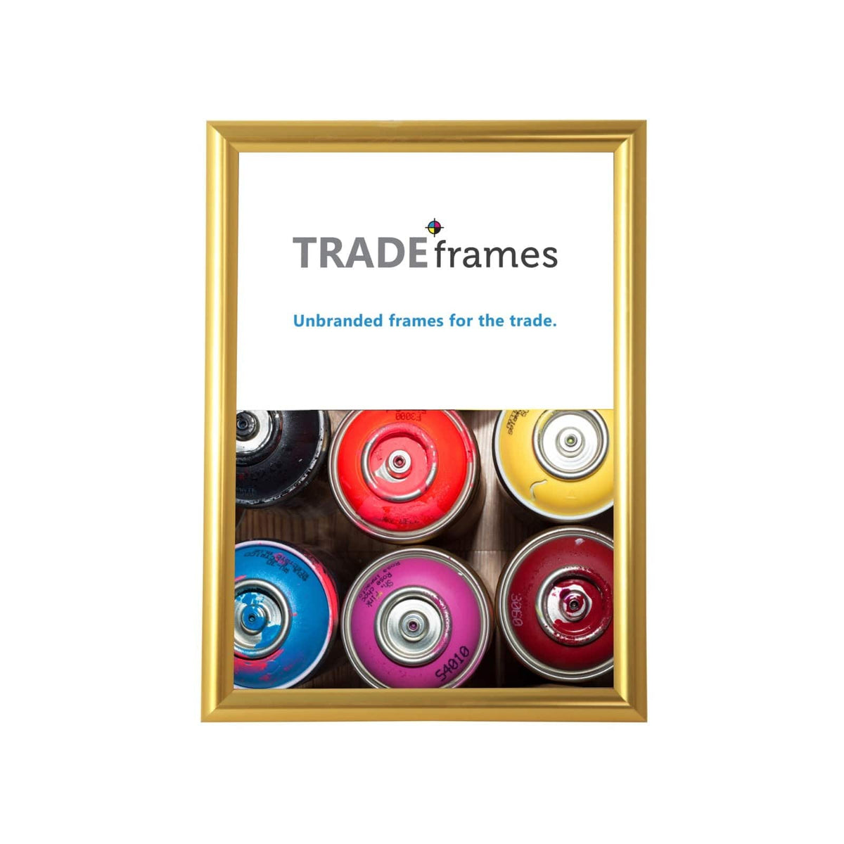 24x36 Gold Effect Snap Frame- 1.25 inch Profile – Snap Frames Direct