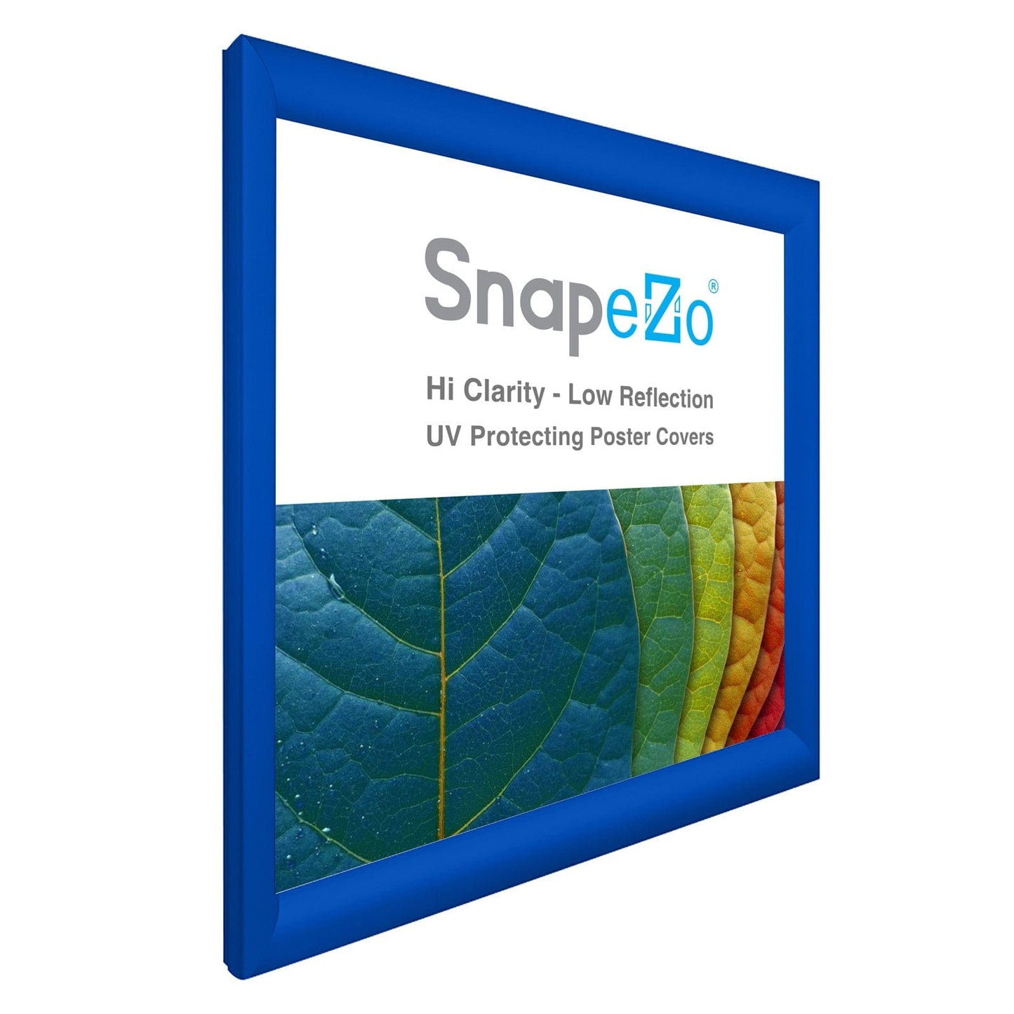 24x24 Blue SnapeZo® Snap Frame - 1.2" Profile - Snap Frames Direct