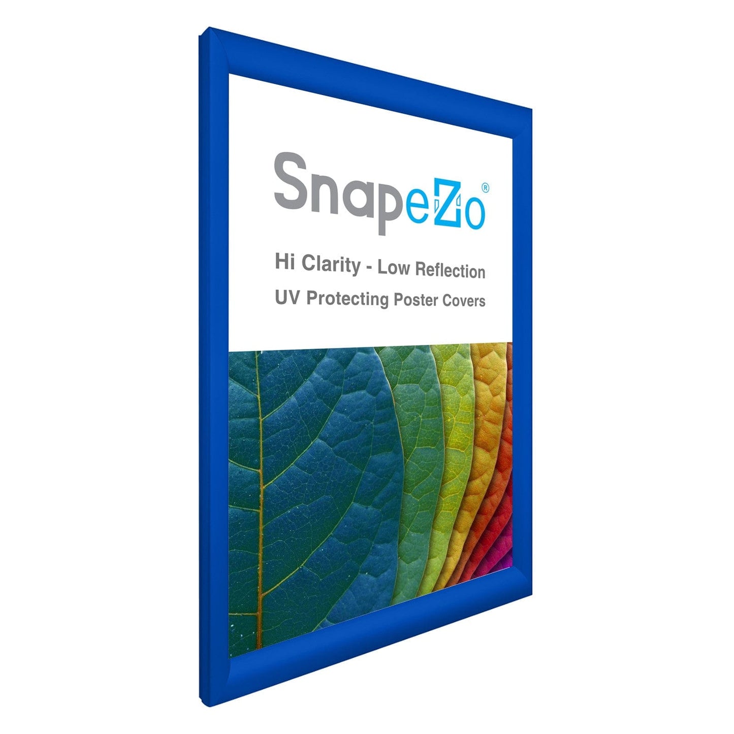 16x24 Blue SnapeZo® Snap Frame - 1.2" Profile - Snap Frames Direct