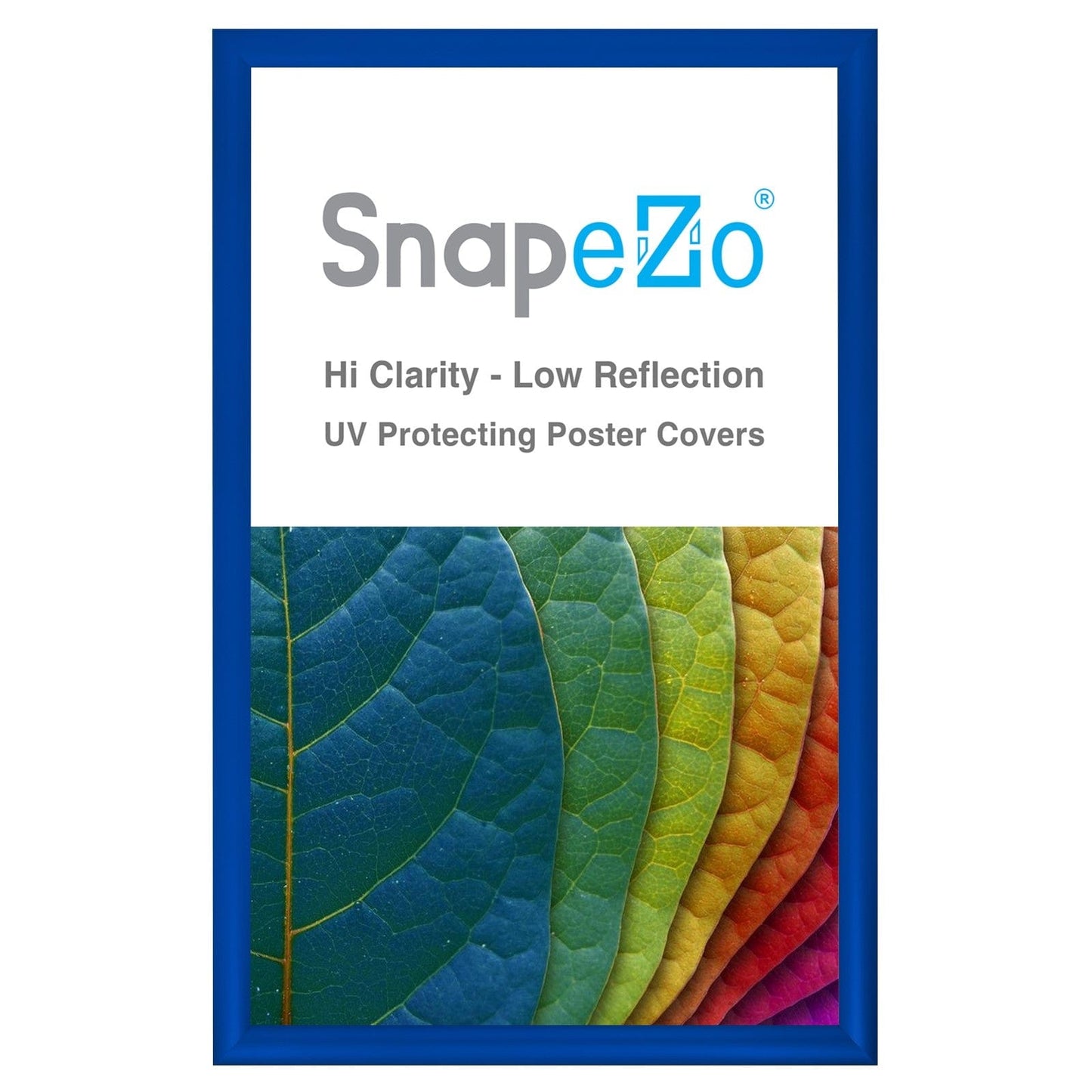 19x30 Blue SnapeZo® Snap Frame - 1.2" Profile - Snap Frames Direct