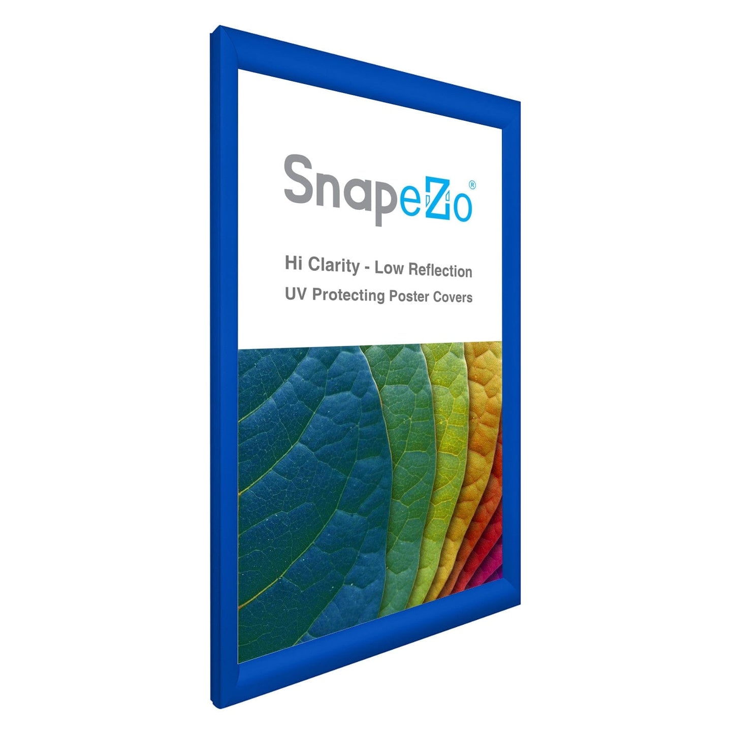 15x25 Blue SnapeZo® Snap Frame - 1.2" Profile - Snap Frames Direct