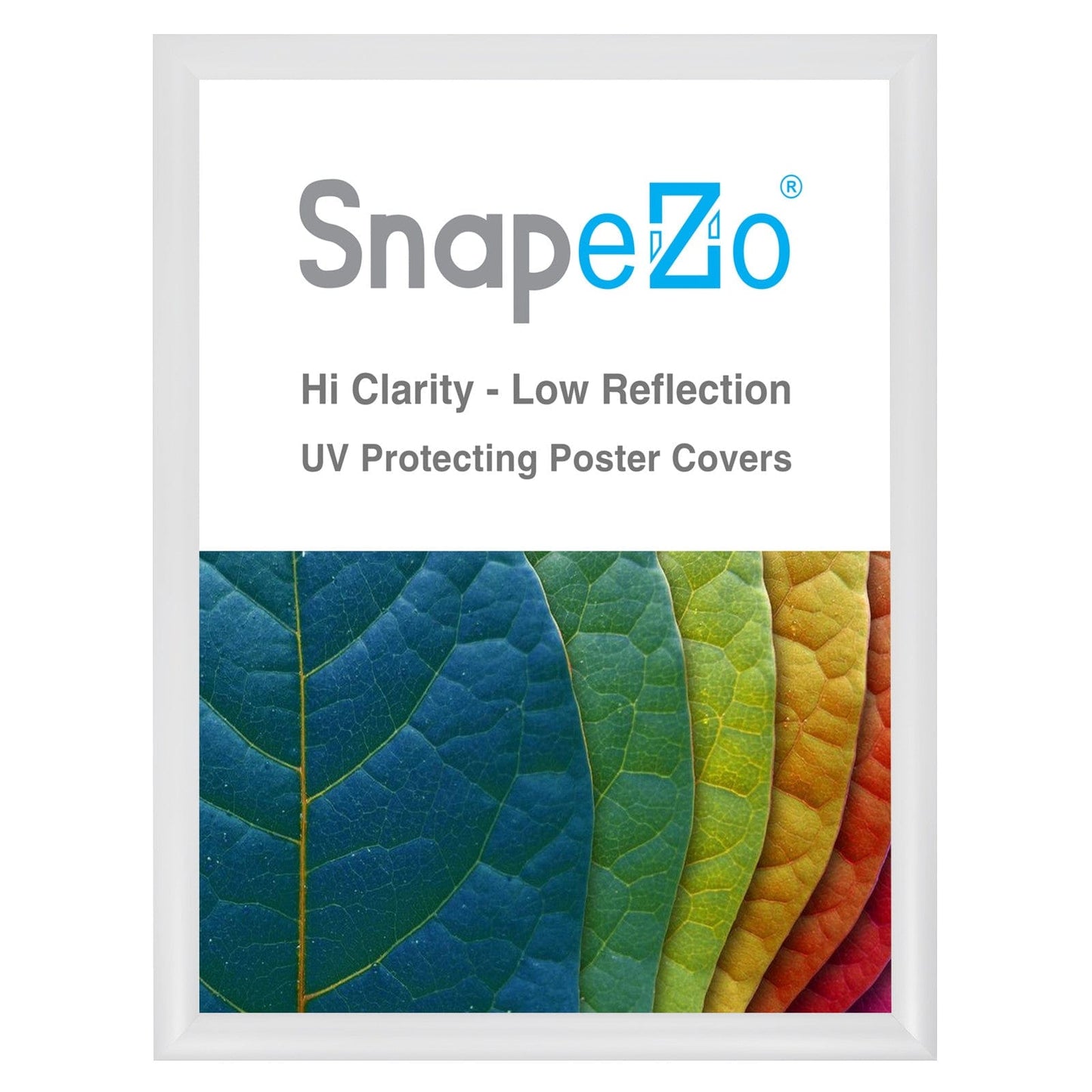 19x25 White SnapeZo® Snap Frame - 1.2" Profile - Snap Frames Direct