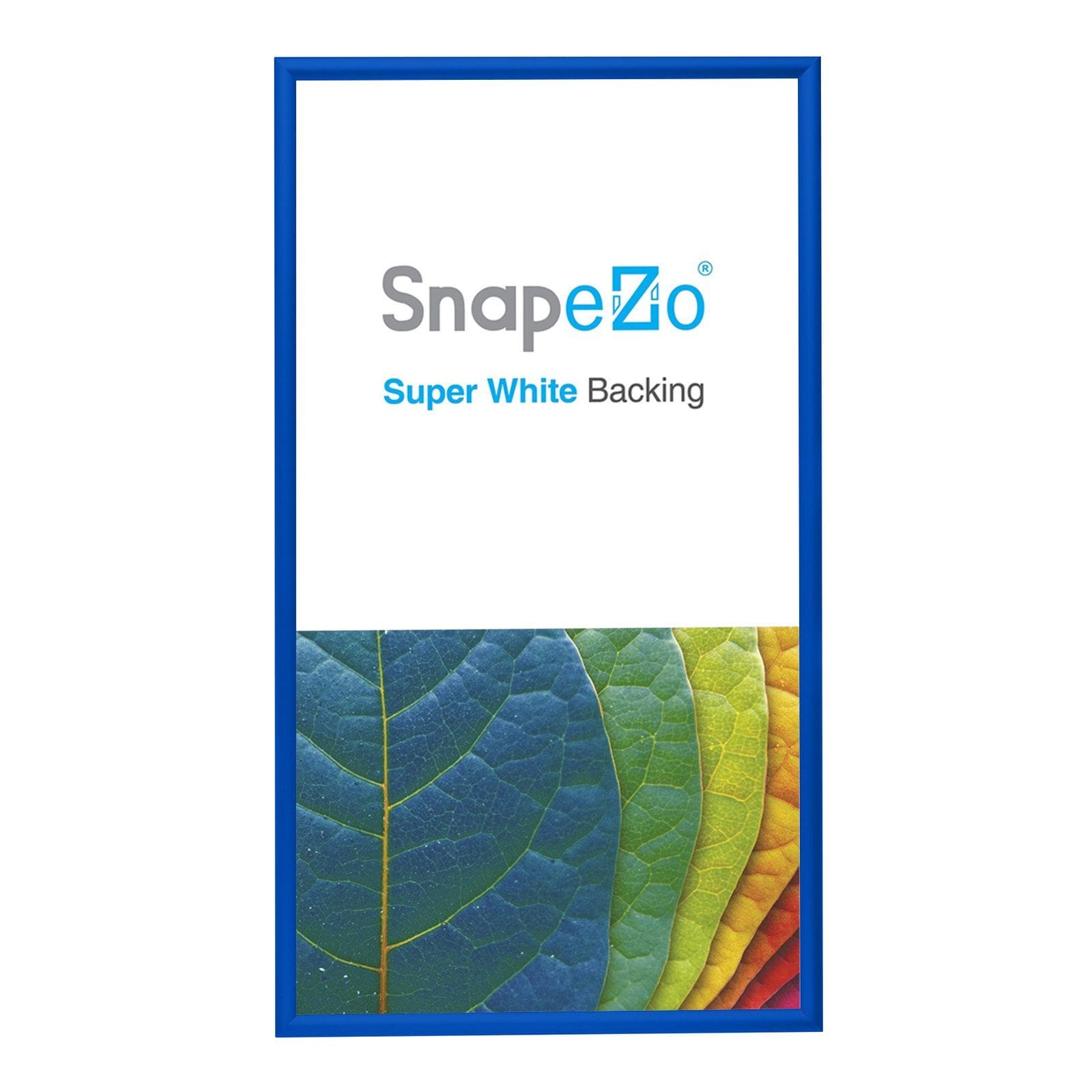 19x36 Snap Frames Online, Huge Stocks, Low Prices, Six Year