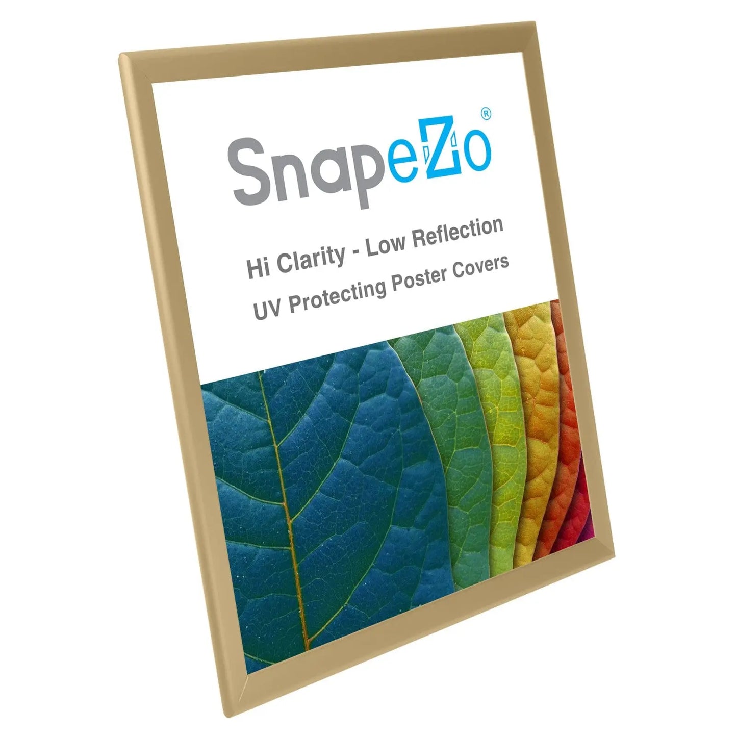 22x28 Gold SnapeZo® Snap Frame - 1.25" Profile - Snap Frames Direct