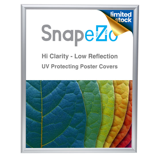 Silver 18x24 Snap Poster Frame - 1" Profile