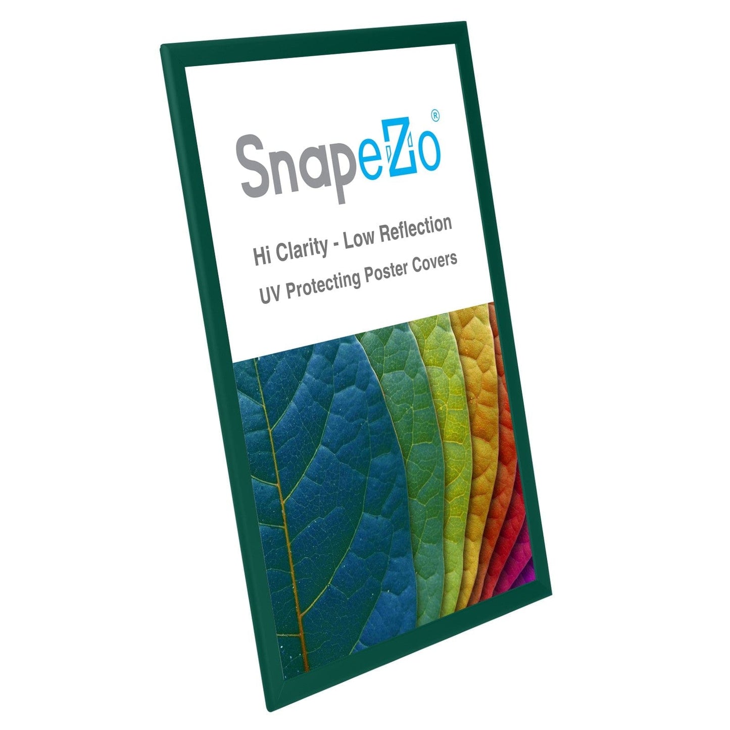 20x30 Inches Green SnapeZo® Snap Frame - 1.25" profile - Snap Frames Direct