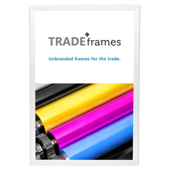 20x30 TRADEframe White Snap Frame 20x30 - 1.25 inch profile - Snap Frames Direct