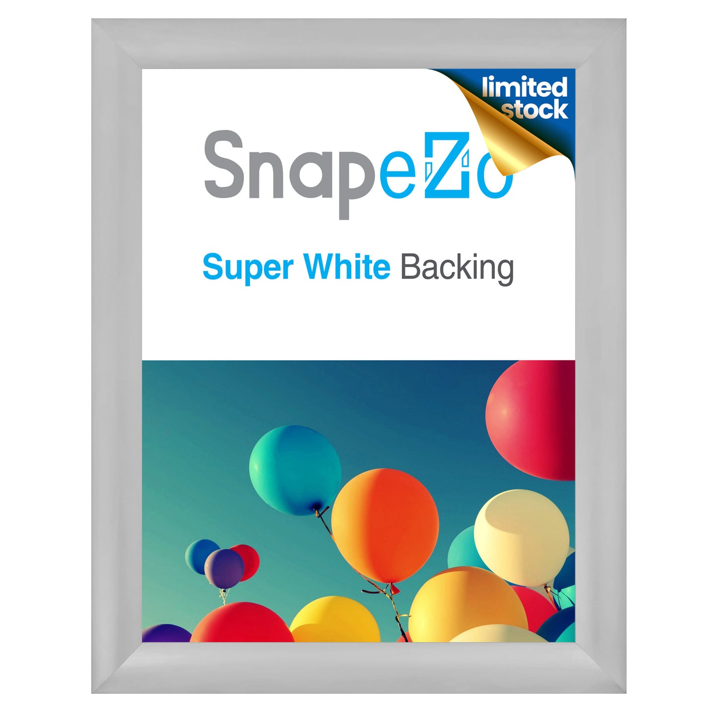 22x28 Silver Snap Frame