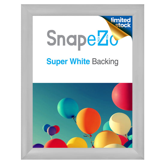 22x28 Silver Snap Frame
