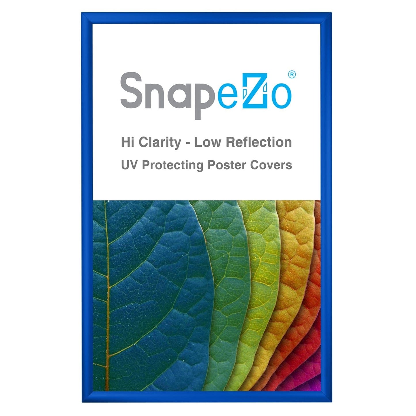 25x40 Blue SnapeZo® Snap Frame - 1.2" Profile - Snap Frames Direct