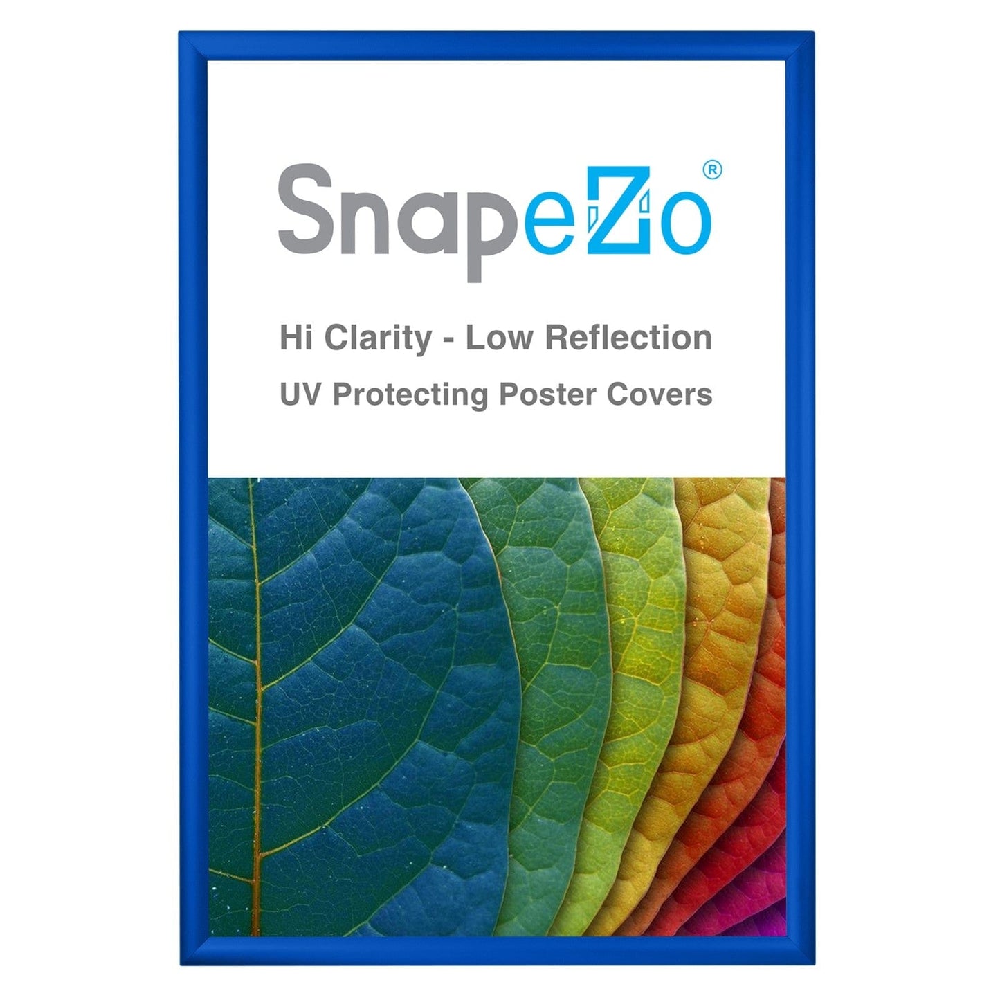 23x35 Blue SnapeZo® Snap Frame - 1.2" Profile - Snap Frames Direct