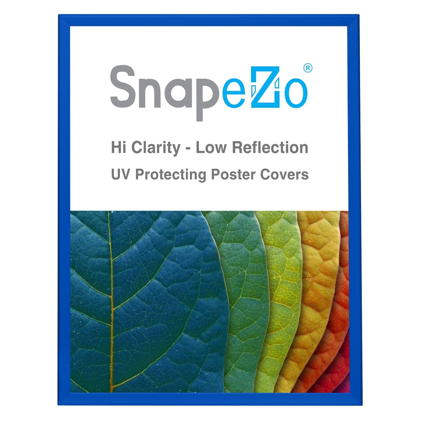 36x48 Blue SnapeZo® Snap Frame - 1.25" Profile - Snap Frames Direct